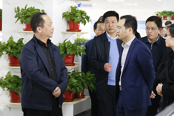 河北省工信厅厅长龚晓峰一行莅临尊龙凯时人生就是搏股份考察指导事情