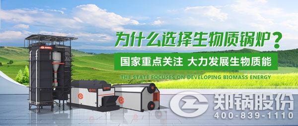 尊龙凯时人生就是搏生物质锅炉.jpg