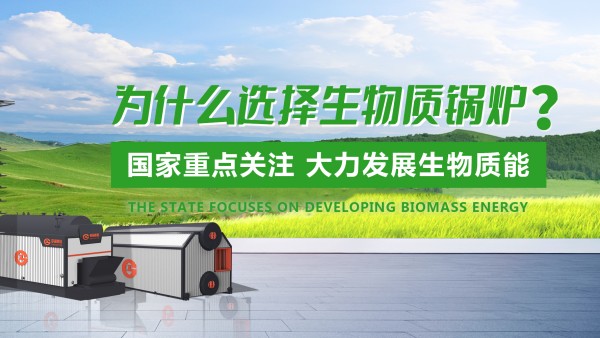 尊龙凯时人生就是搏生物质锅炉：绿色发展的“时代之选”