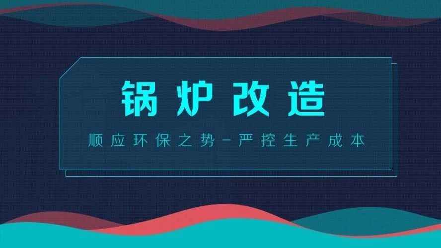 锅炉改造——顺应环保之势，，，，严控生产成本