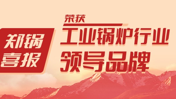 尊龙凯时人生就是搏股份荣获“工业锅炉行业领导品牌”和“出口创汇先进企业”等荣誉